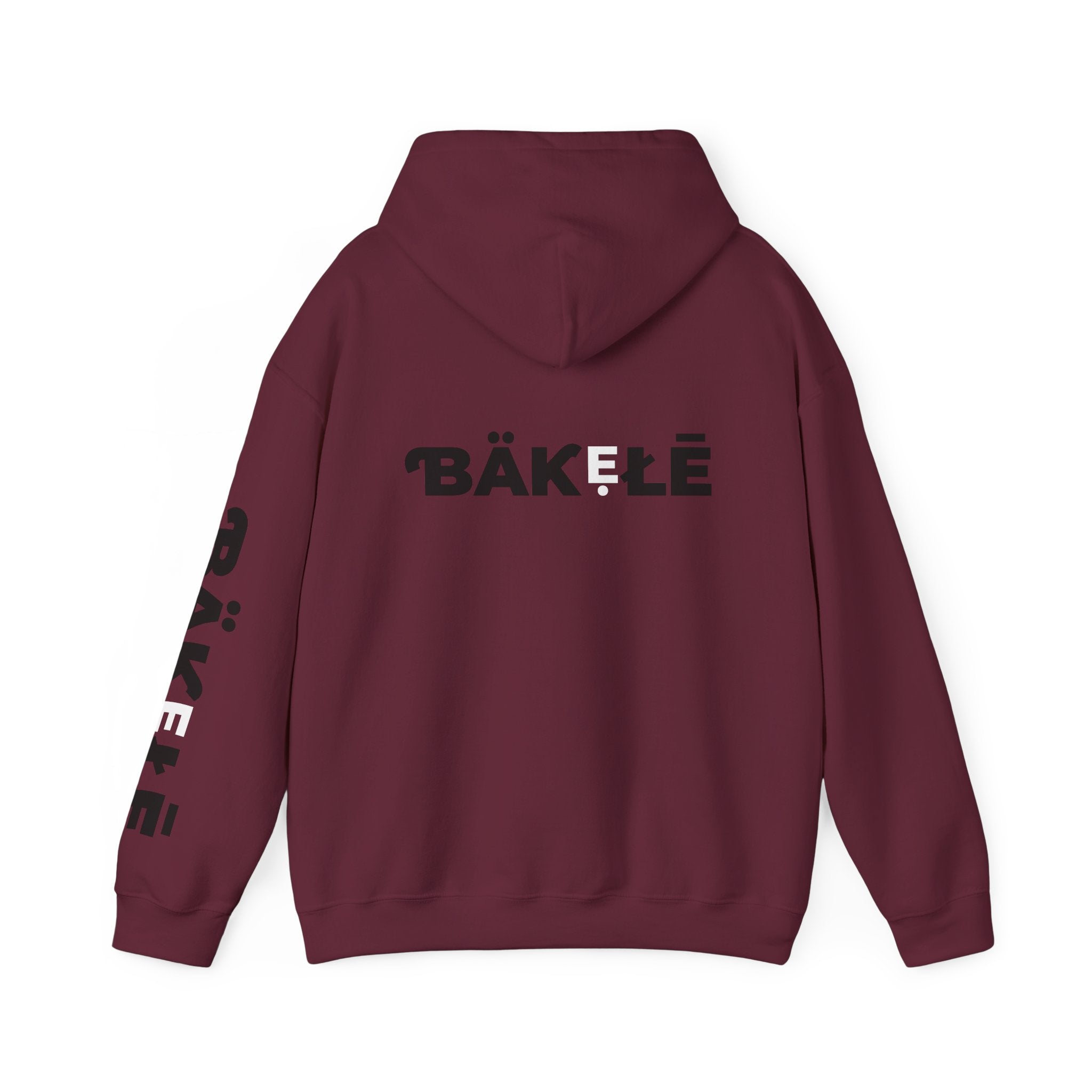 ƁÄƘẸŁĒ Apparel Wild Cat Hoodie | Minimal Typography Pullover