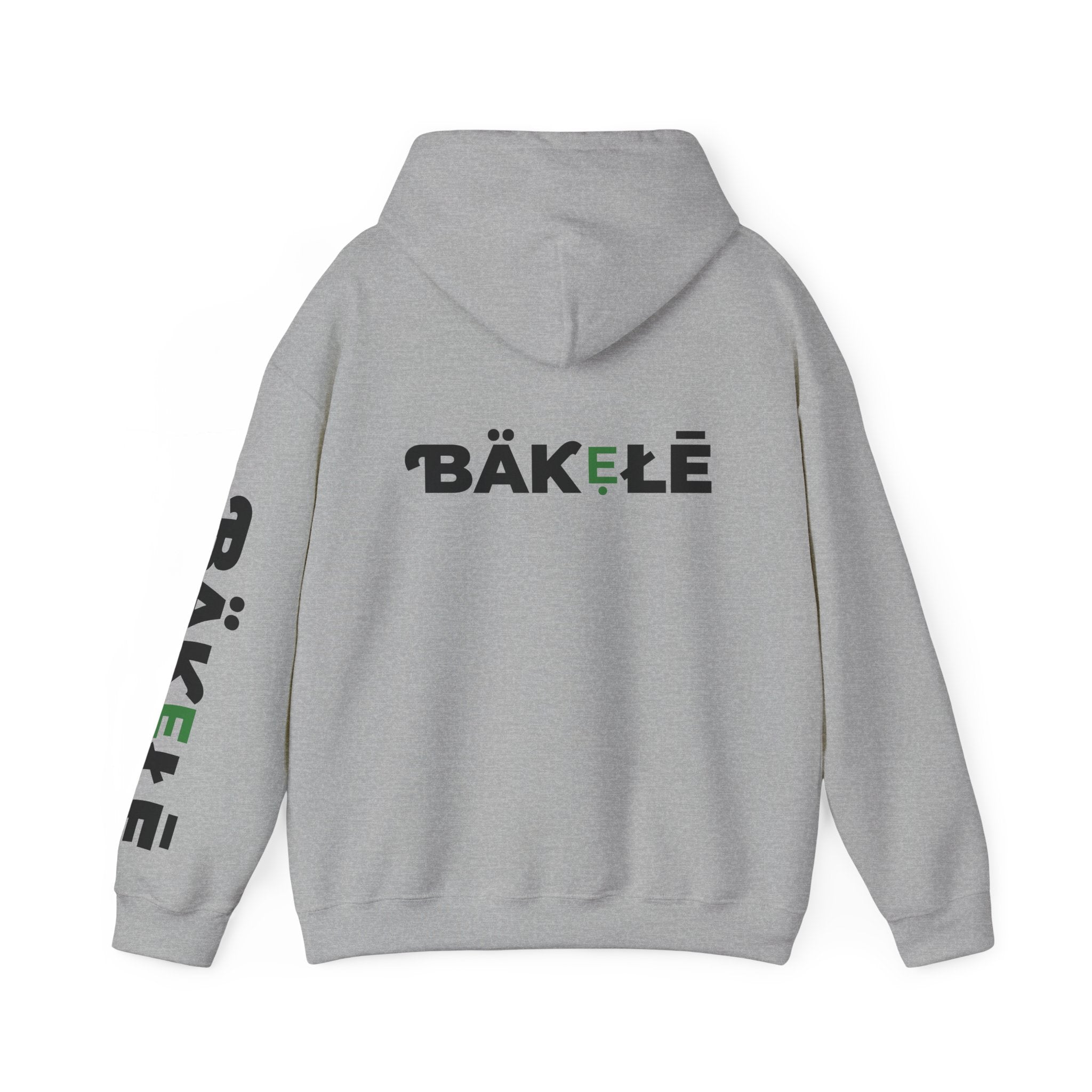 ƁÄƘẸŁĒ Apparel Turtle Hoodie