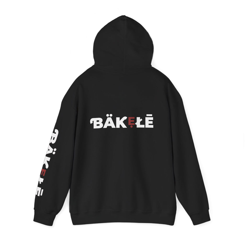 ƁÄƘẸŁĒ Apparel Wild Cat Hoodie | Minimal Typography Pullover