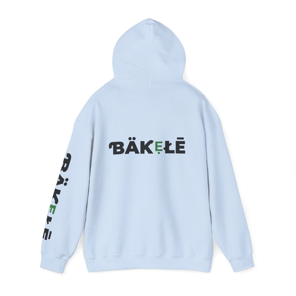 ƁÄƘẸŁĒ Apparel Turtle Hoodie