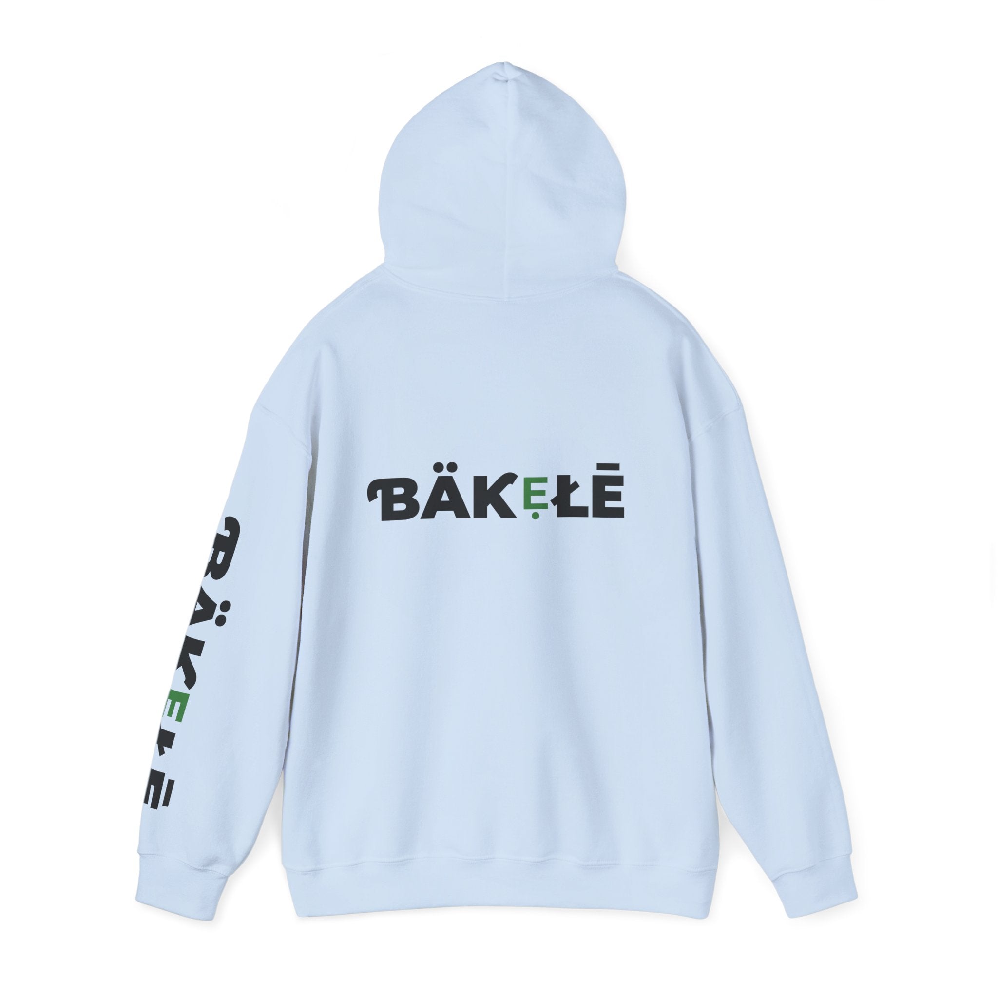 ƁÄƘẸŁĒ Apparel Turtle Hoodie