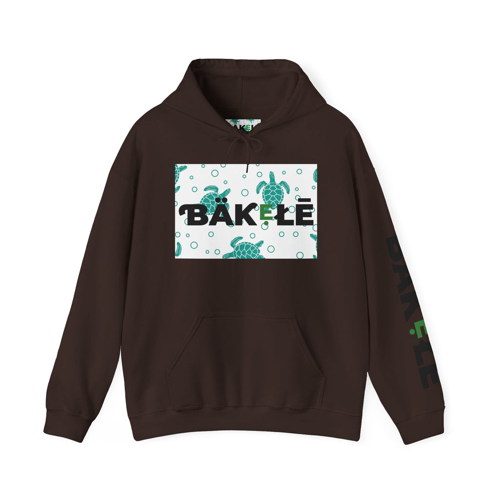 ƁÄƘẸŁĒ Apparel Turtle Hoodie