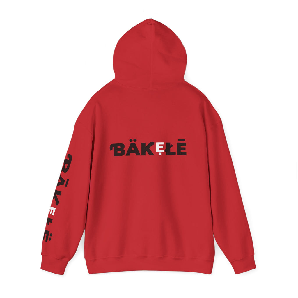 ƁÄƘẸŁĒ Apparel Leopard Hoodie
