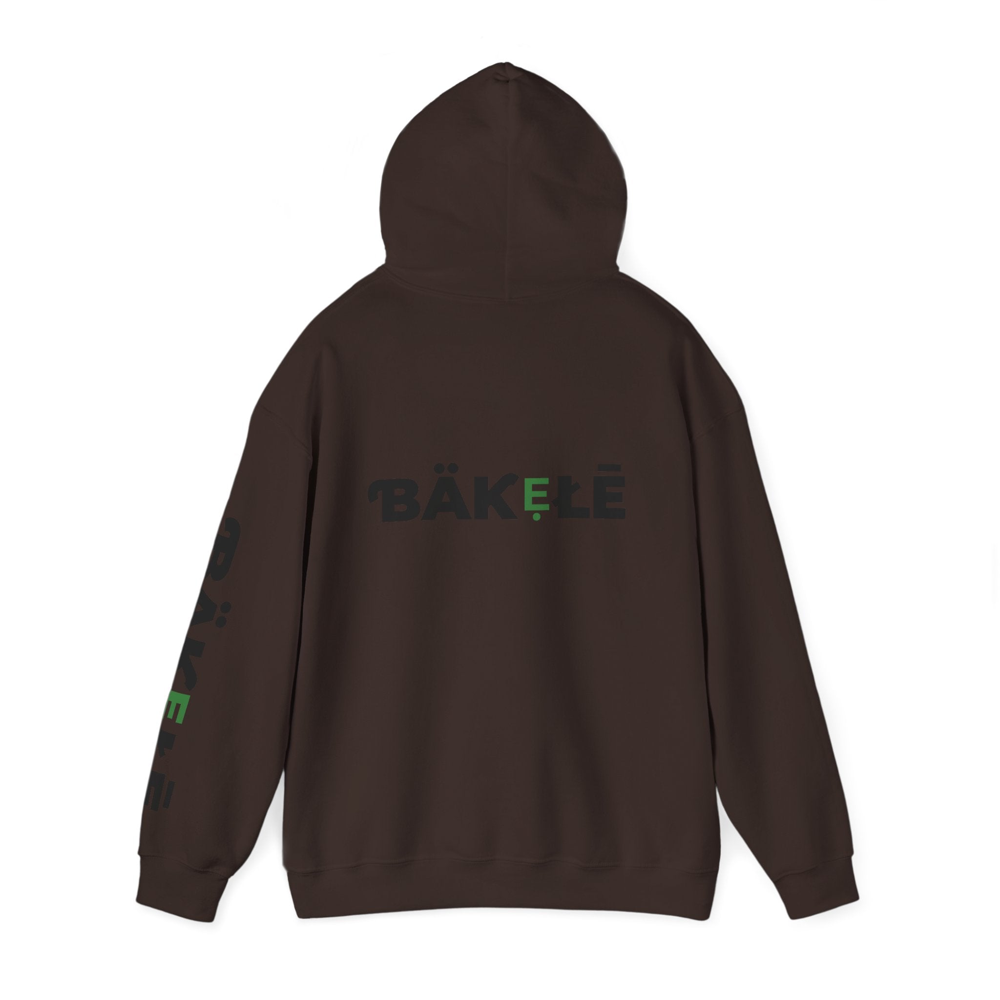 ƁÄƘẸŁĒ Apparel Turtle Hoodie