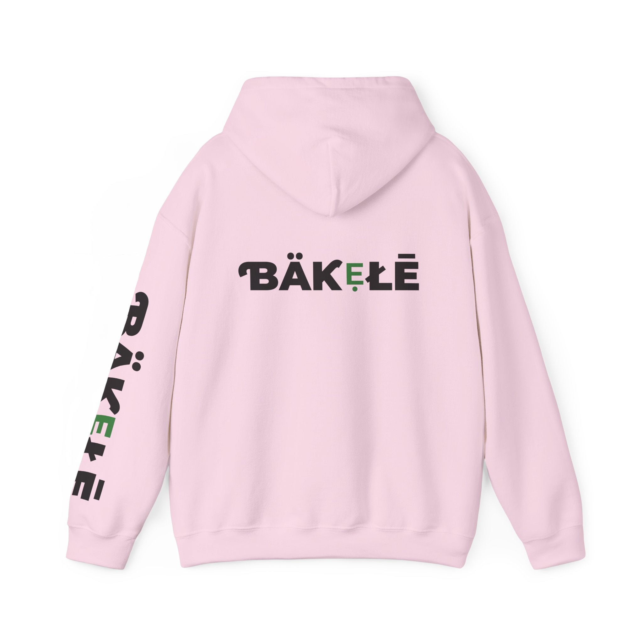 ƁÄƘẸŁĒ Apparel Turtle Hoodie