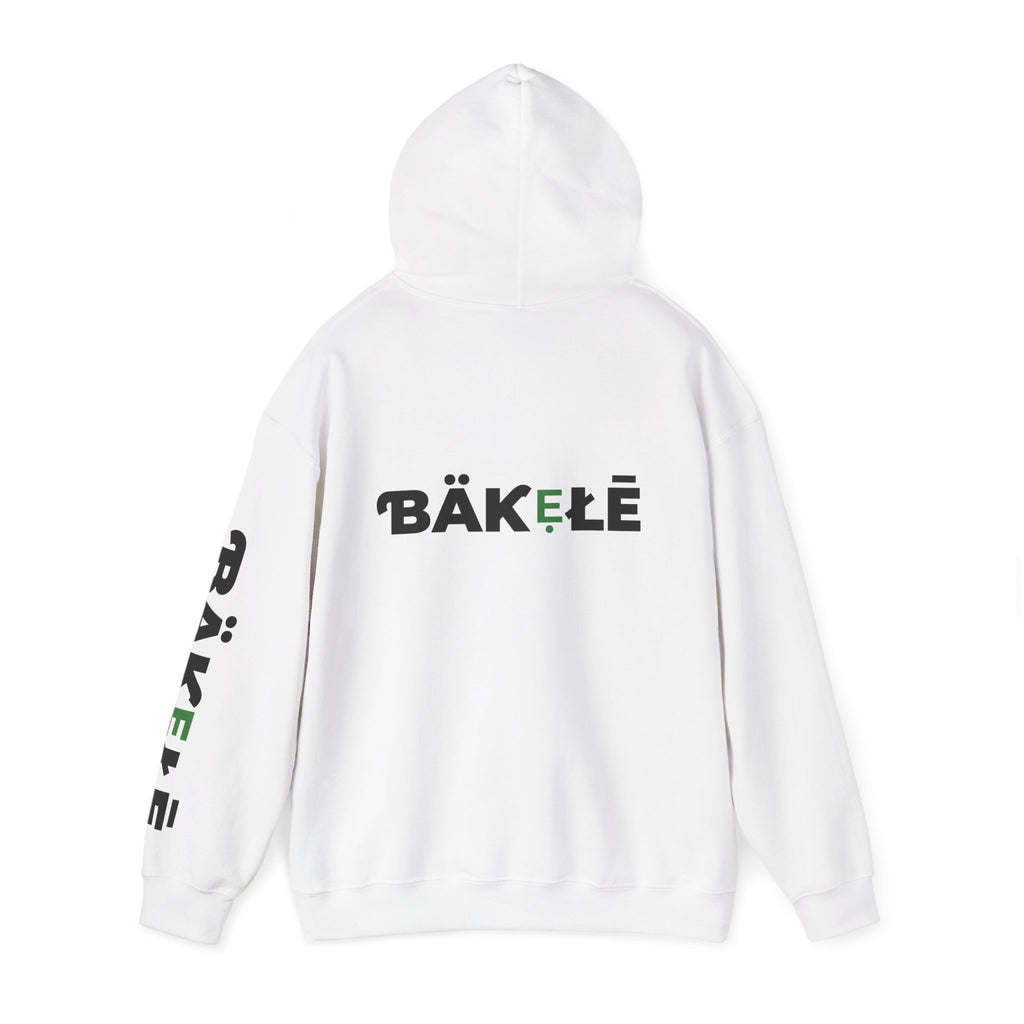 ƁÄƘẸŁĒ Apparel Turtle Hoodie