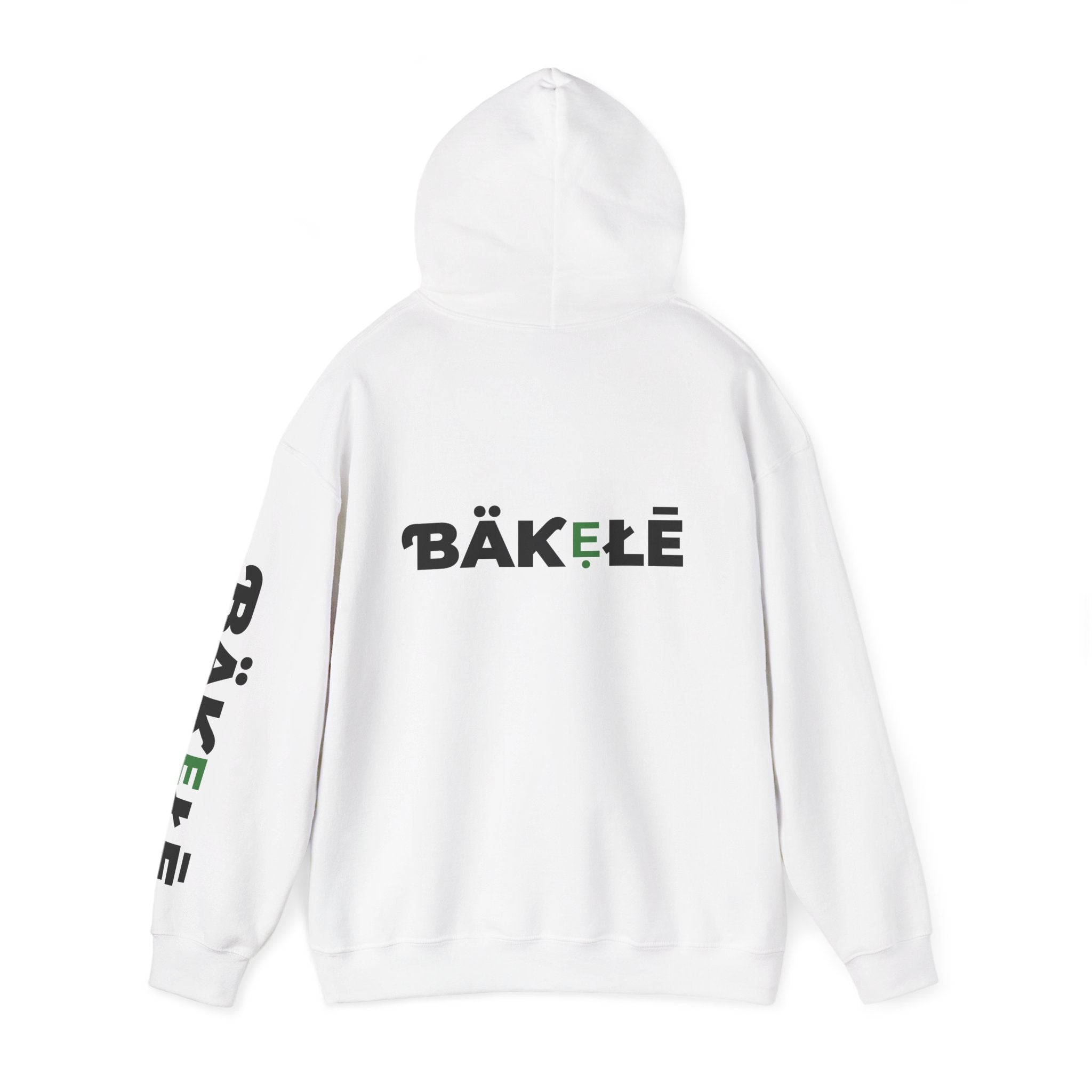 ƁÄƘẸŁĒ Apparel Turtle Hoodie