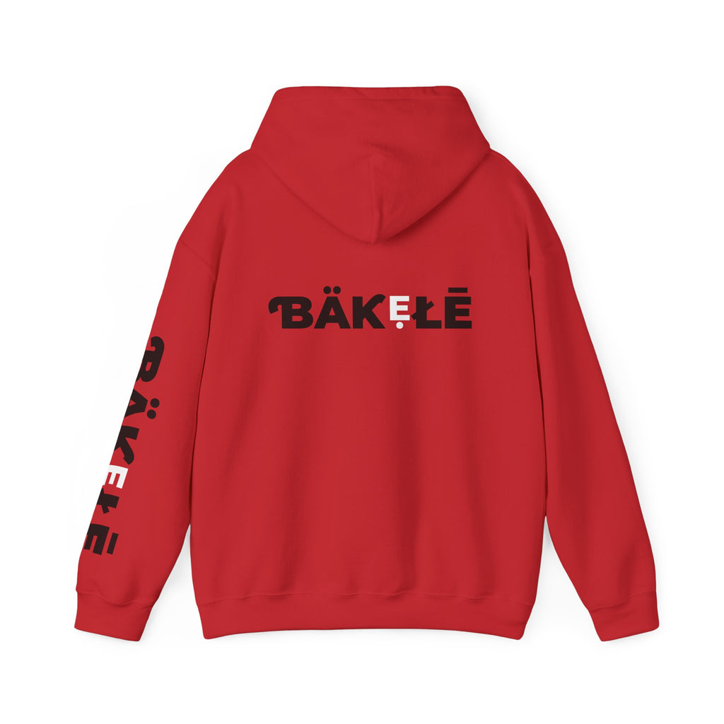 ƁÄƘẸŁĒ Apparel Wild Cat Hoodie | Minimal Typography Pullover