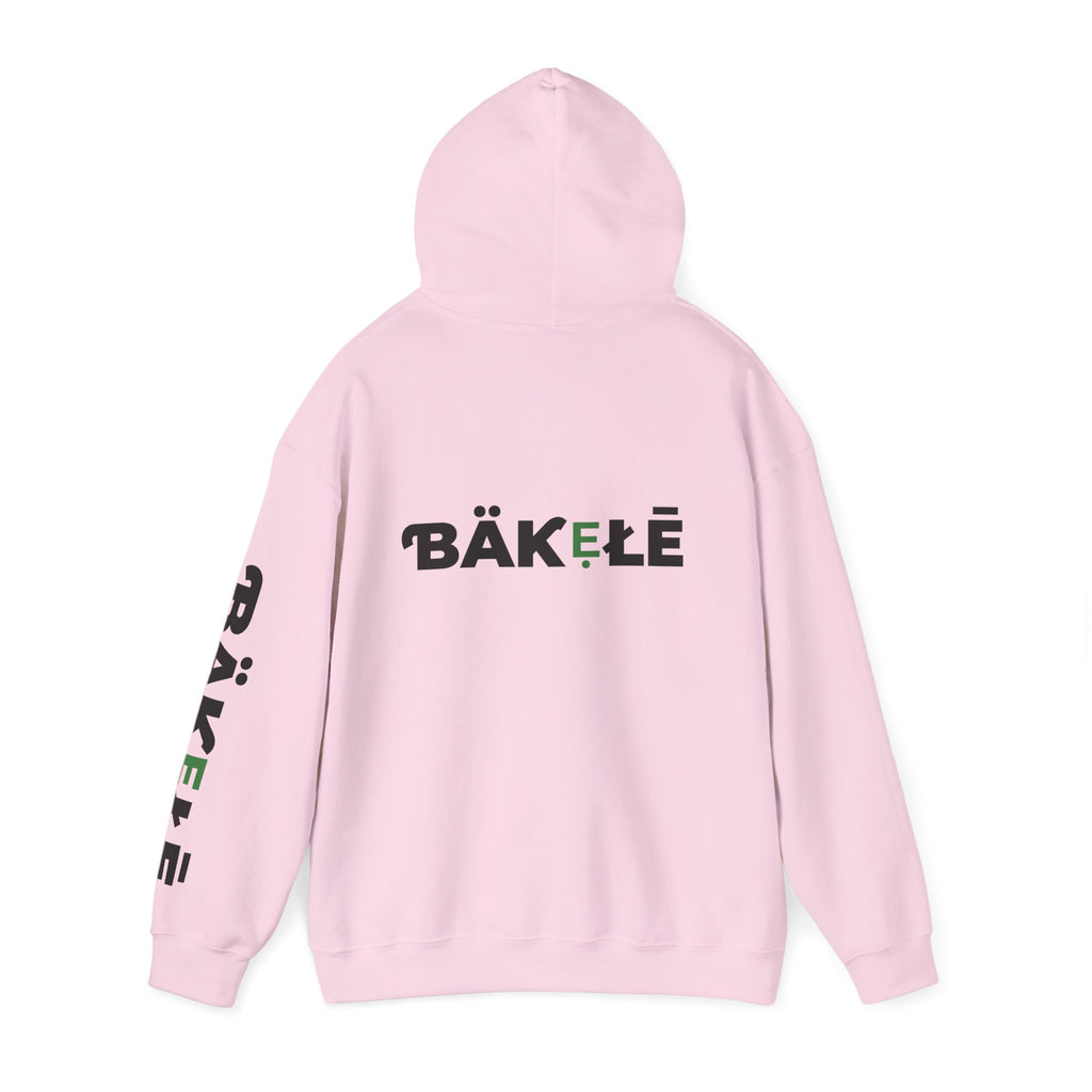 ƁÄƘẸŁĒ Apparel Turtle Hoodie