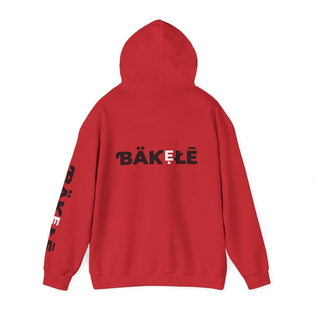 ƁÄƘẸŁĒ Apparel Hearts Hoodie