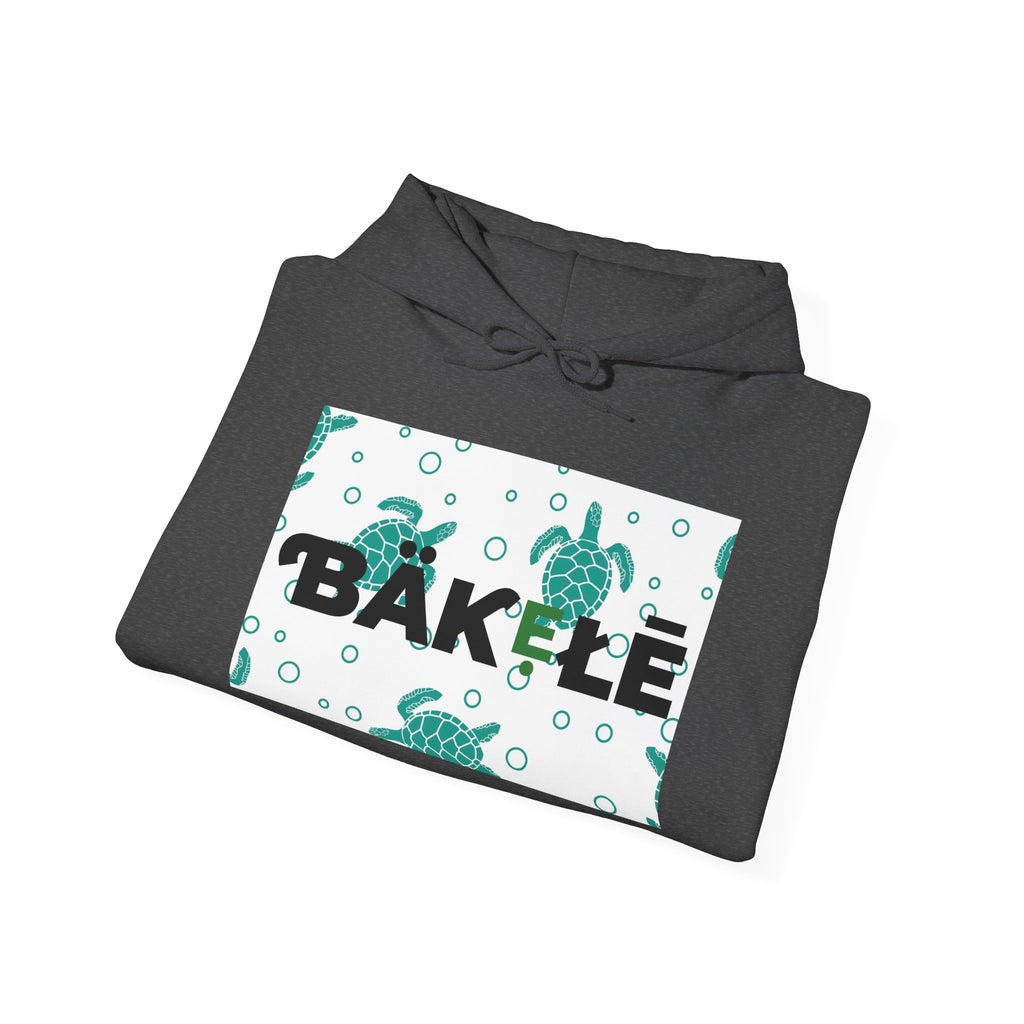 ƁÄƘẸŁĒ Apparel Turtle Hoodie