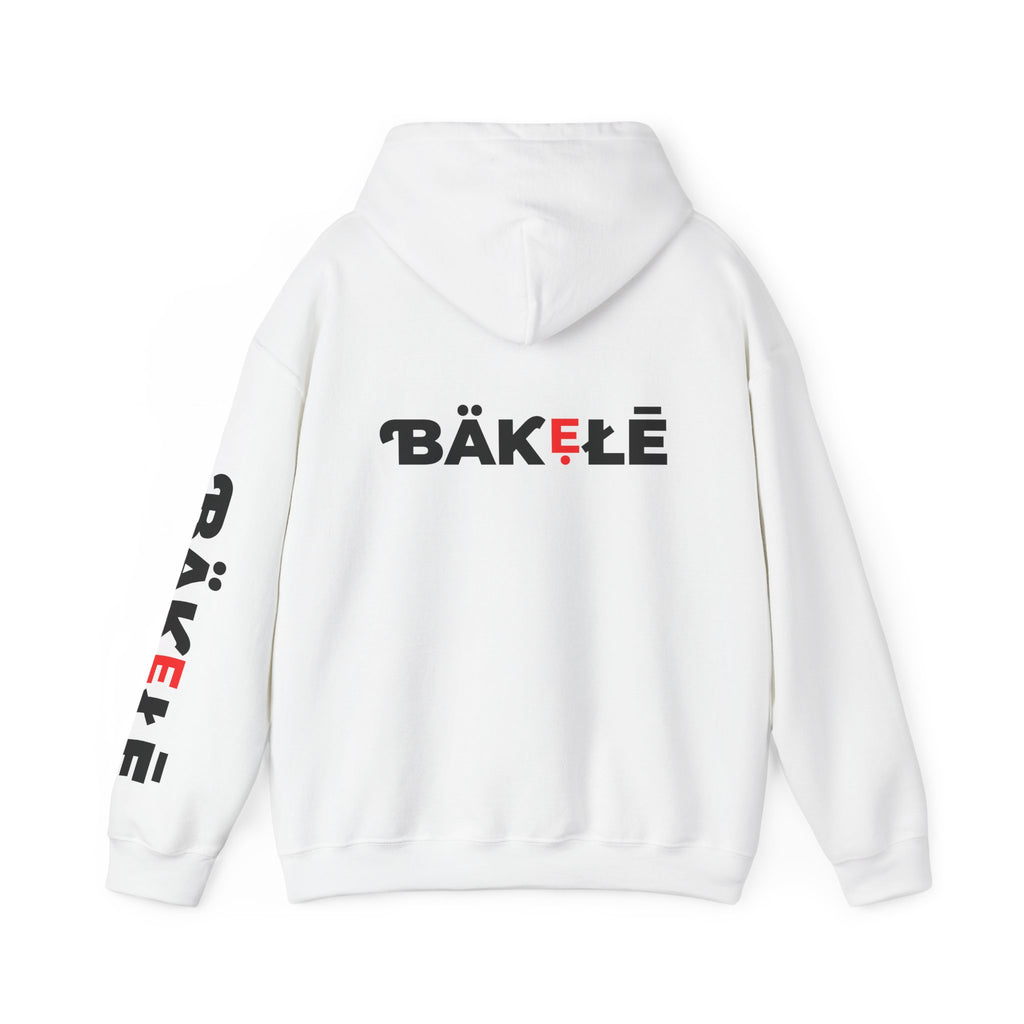 ƁÄƘẸŁĒ Apparel Hearts Hoodie
