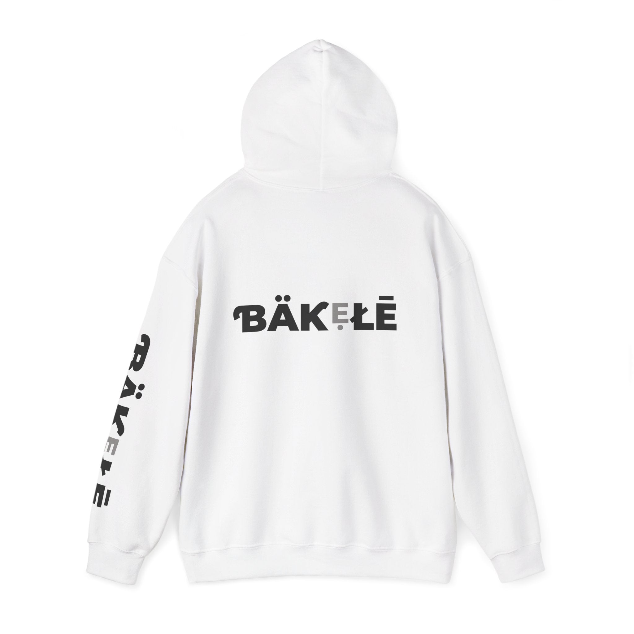 ƁÄƘẸŁĒ Apparel Wild Cat Hoodie | Minimal Typography Pullover