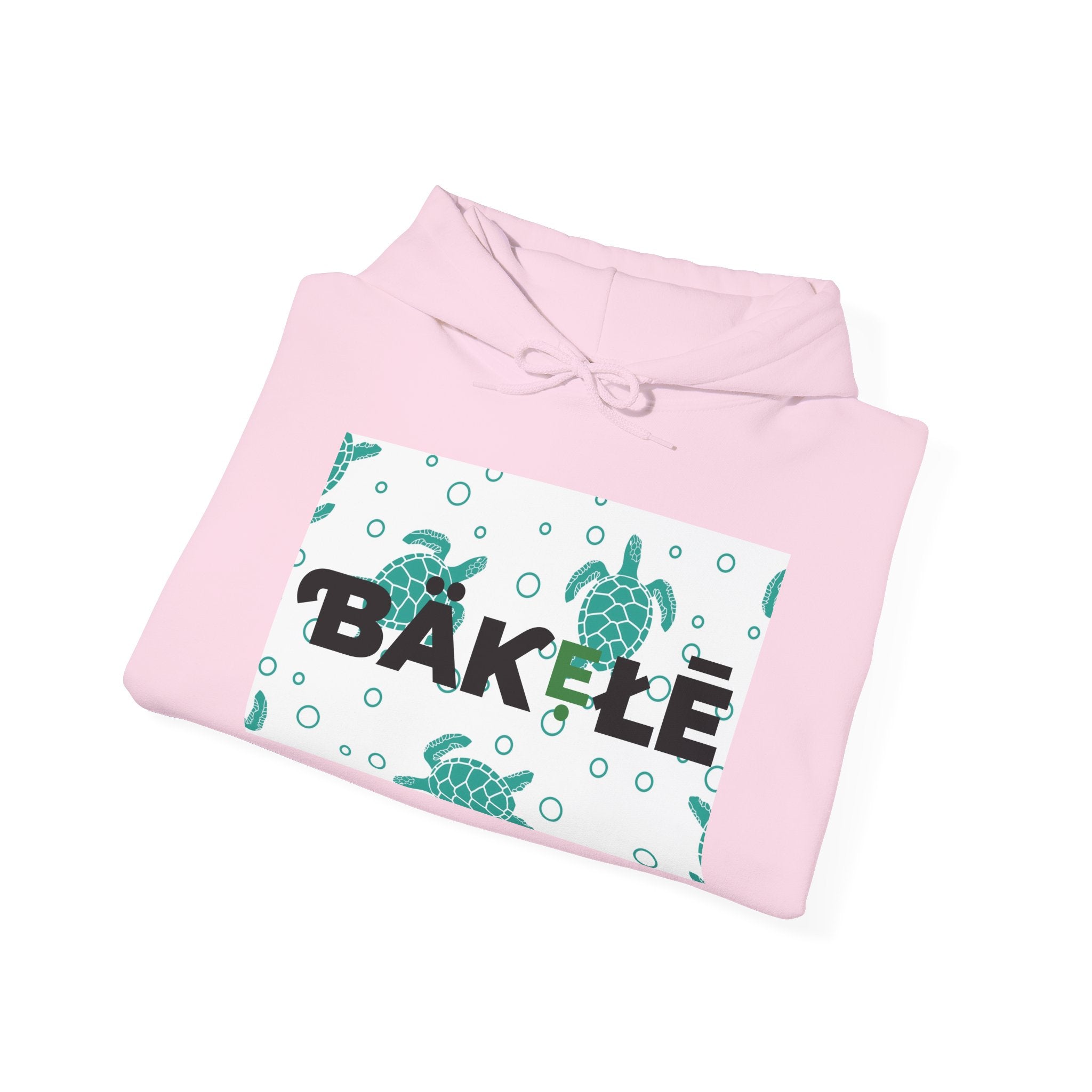ƁÄƘẸŁĒ Apparel Turtle Hoodie