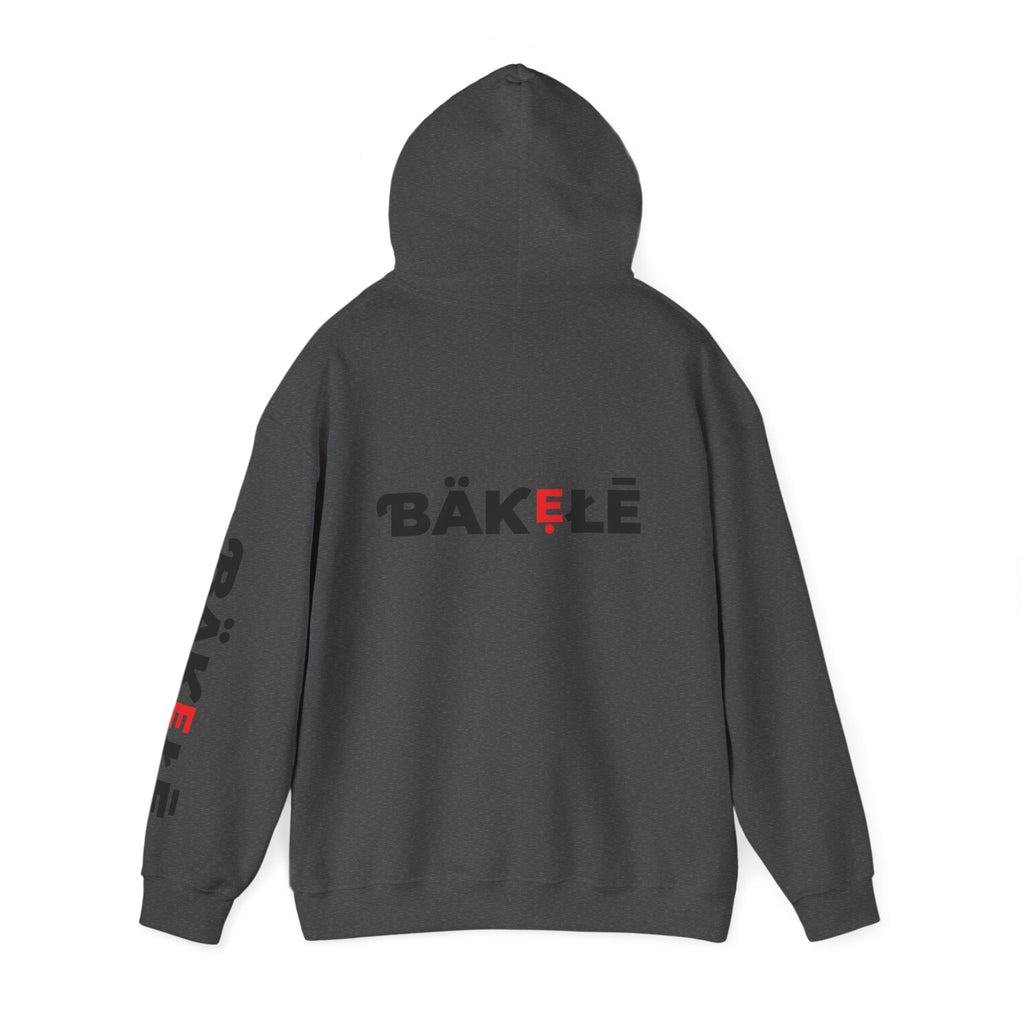 ƁÄƘẸŁĒ Apparel Hearts Hoodie