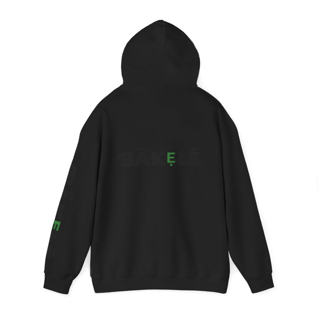 ƁÄƘẸŁĒ Apparel Turtle Hoodie