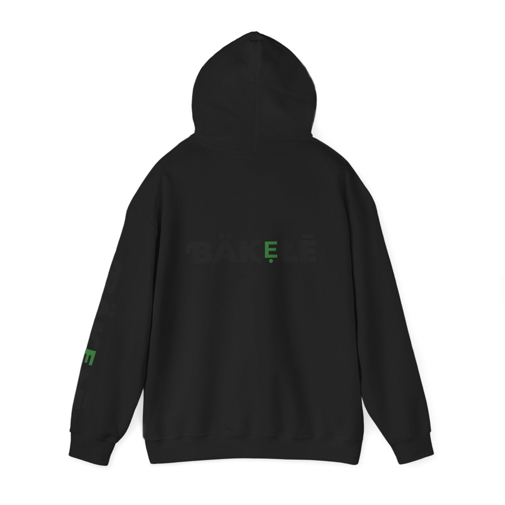 ƁÄƘẸŁĒ Apparel Turtle Hoodie