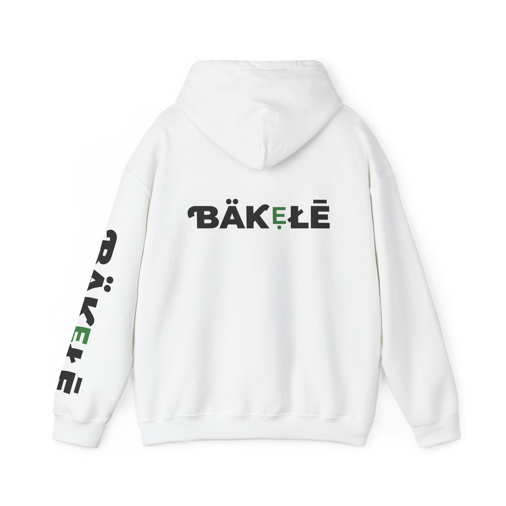 ƁÄƘẸŁĒ Apparel Turtle Hoodie