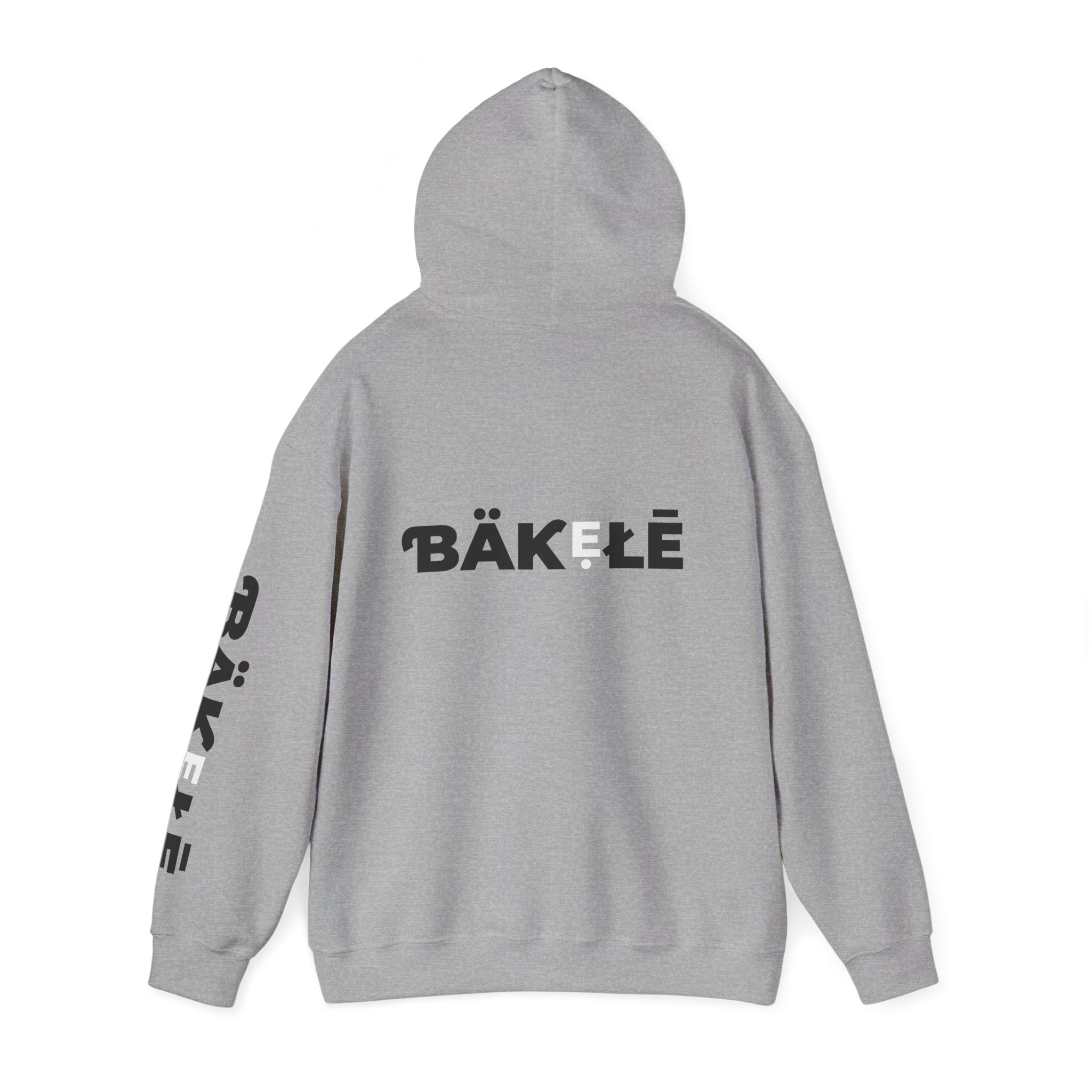 ƁÄƘẸŁĒ Apparel Wild Cat Hoodie | Minimal Typography Pullover