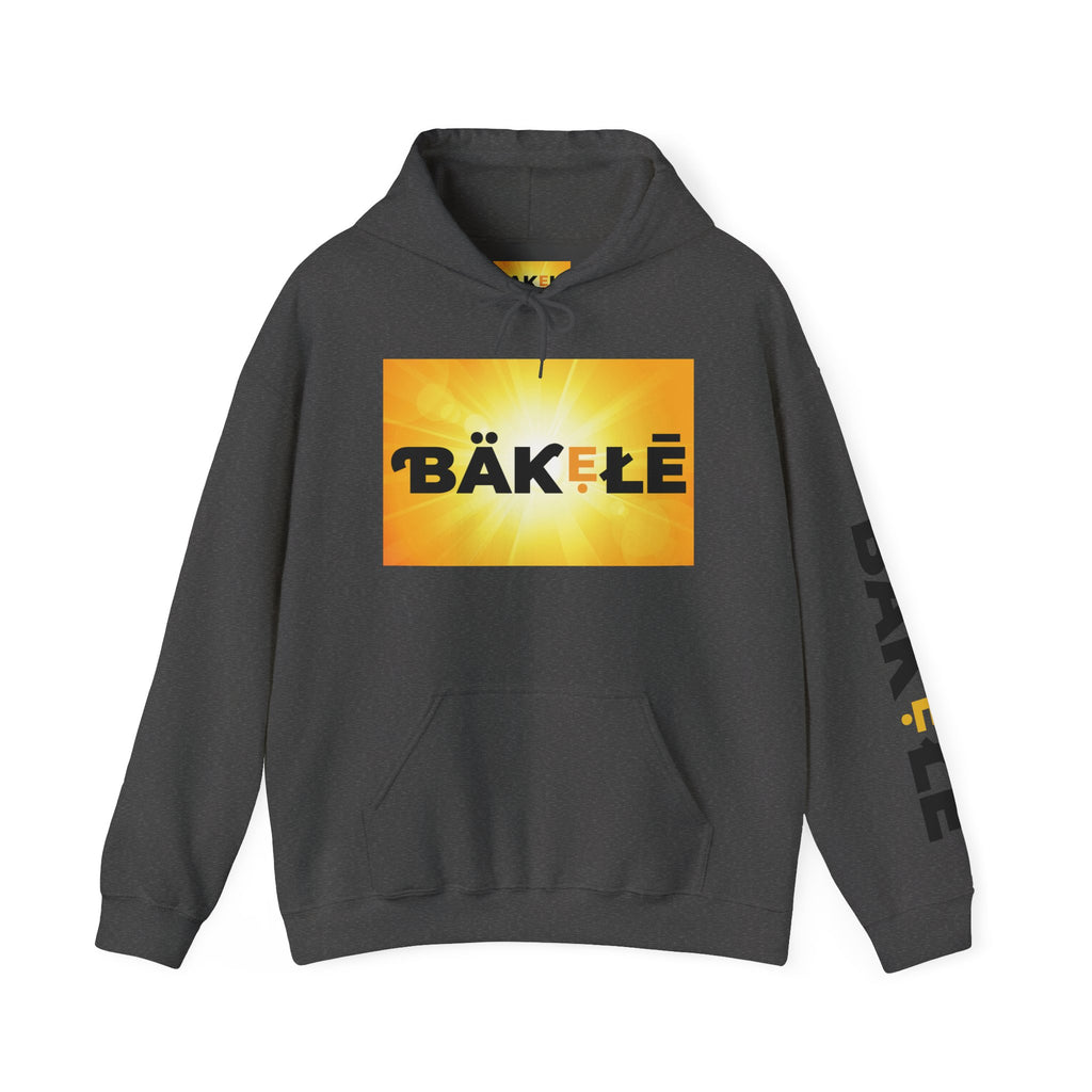 ƁÄƘẸŁĒ Apparel Bright Hoodie