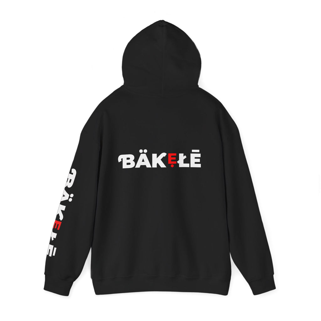 ƁÄƘẸŁĒ Apparel Hearts Hoodie