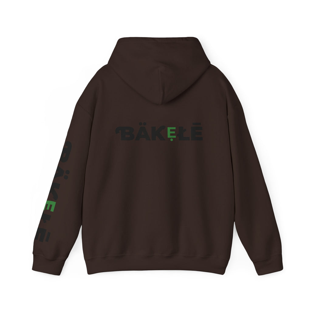 ƁÄƘẸŁĒ Apparel Turtle Hoodie
