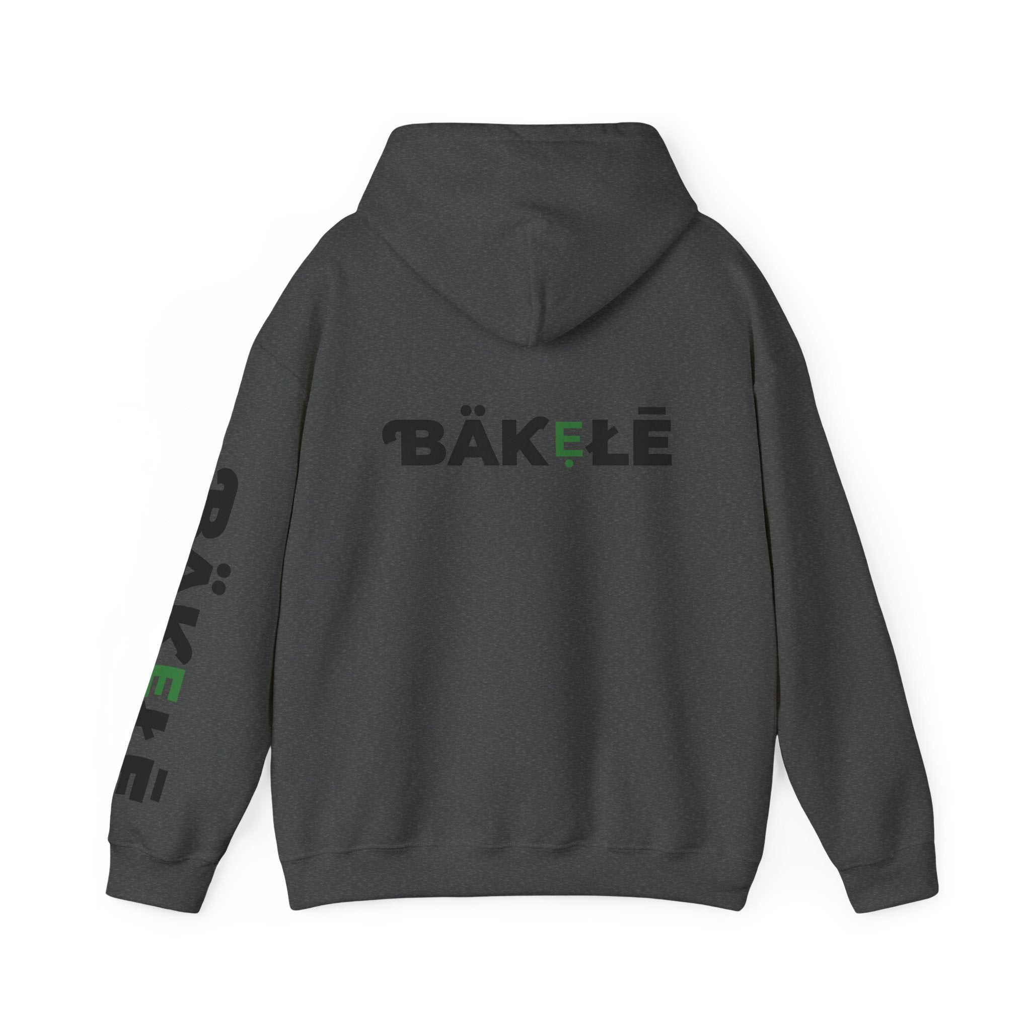 ƁÄƘẸŁĒ Apparel Turtle Hoodie