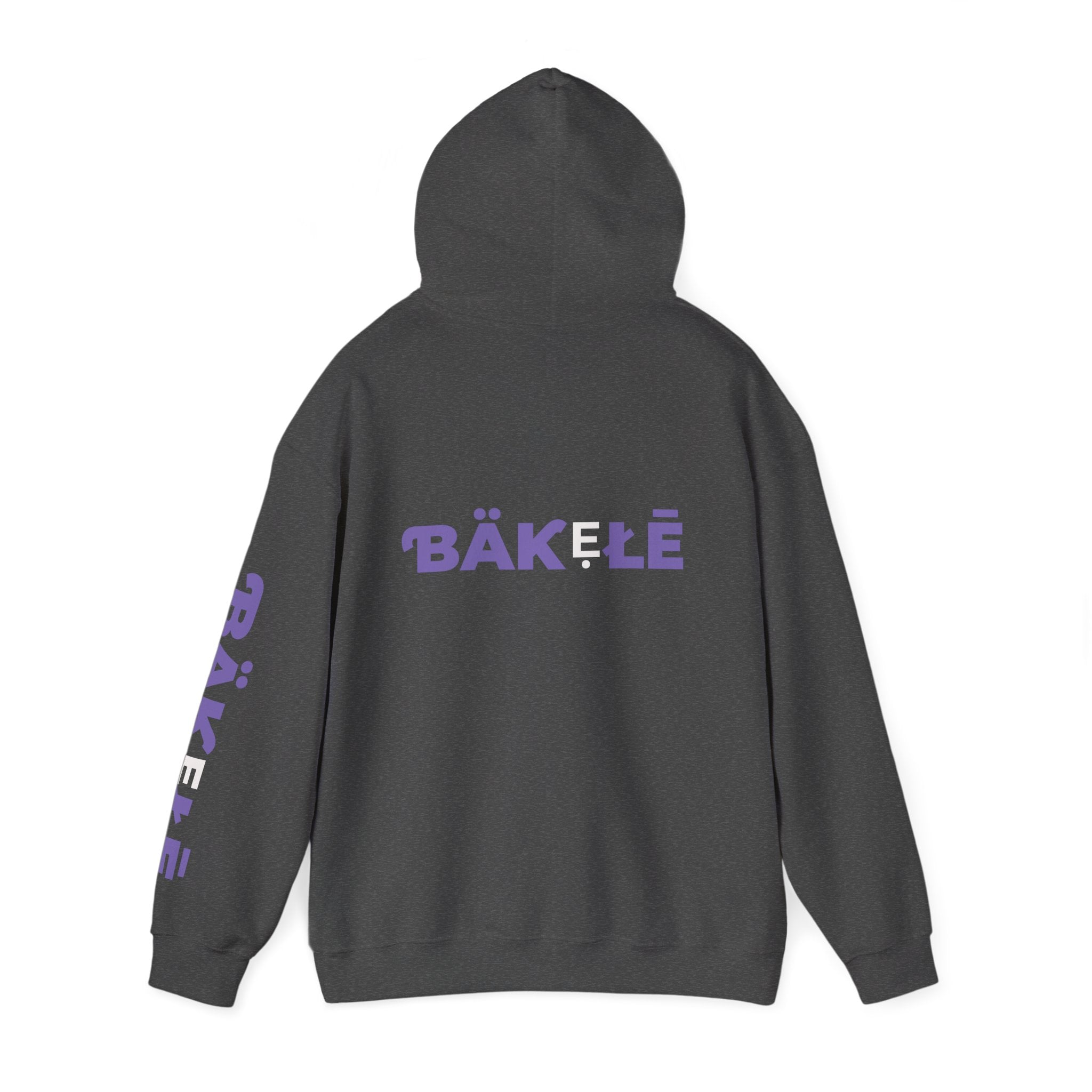 ƁÄƘẸŁĒ Apparel Black Leopard Hoodie