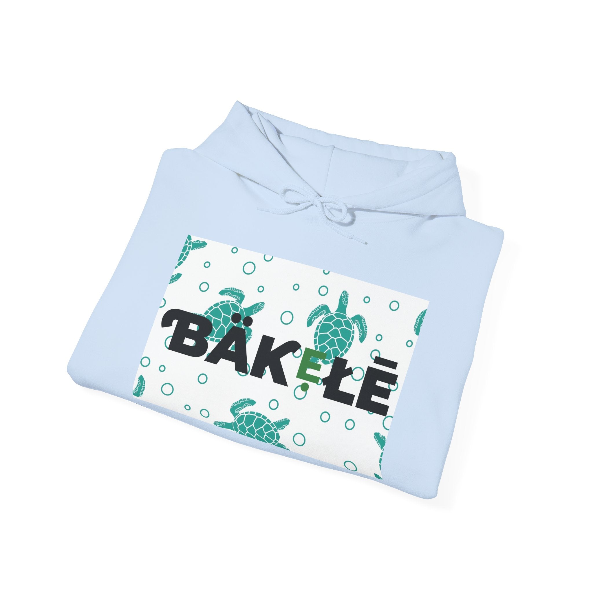 ƁÄƘẸŁĒ Apparel Turtle Hoodie