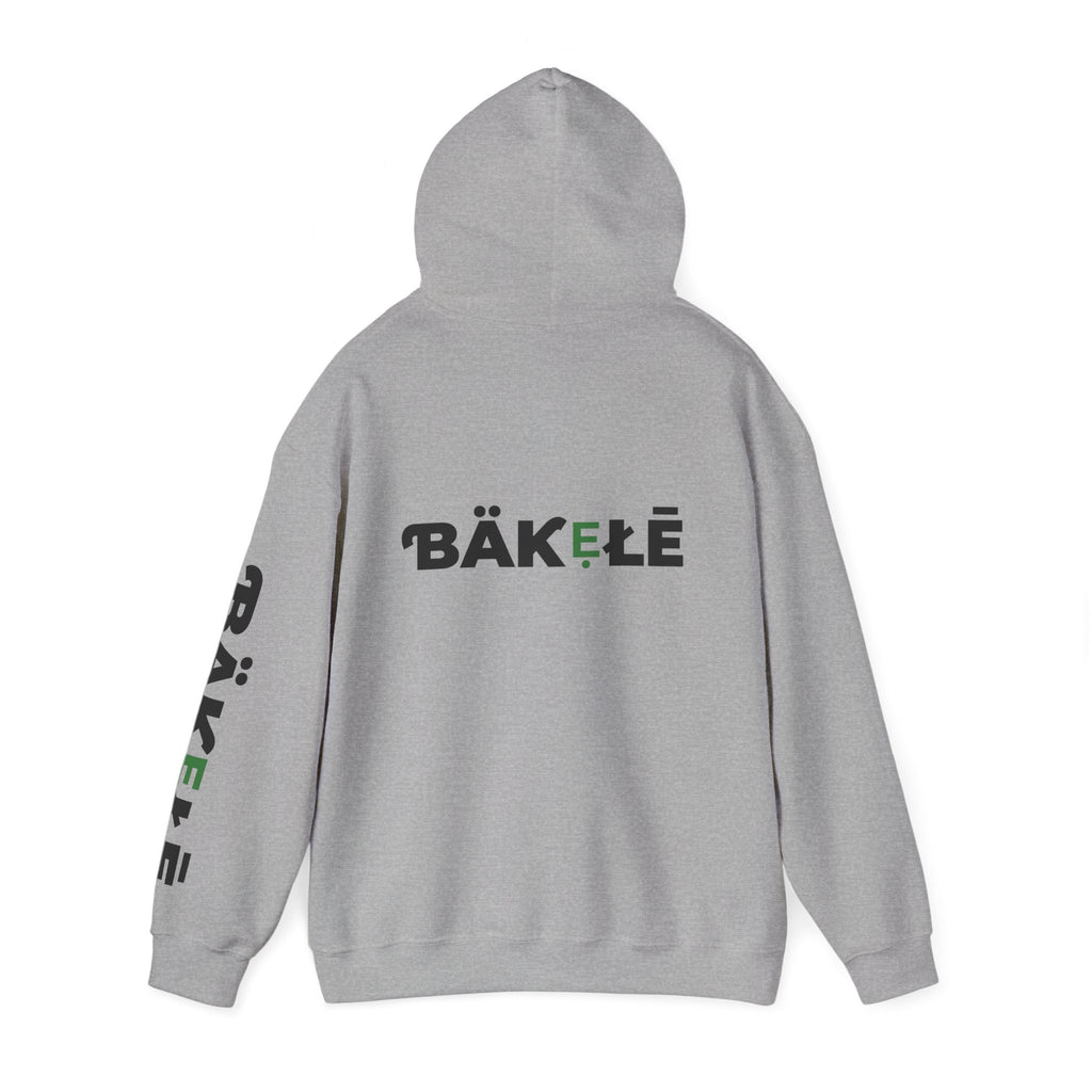 ƁÄƘẸŁĒ Apparel Turtle Hoodie