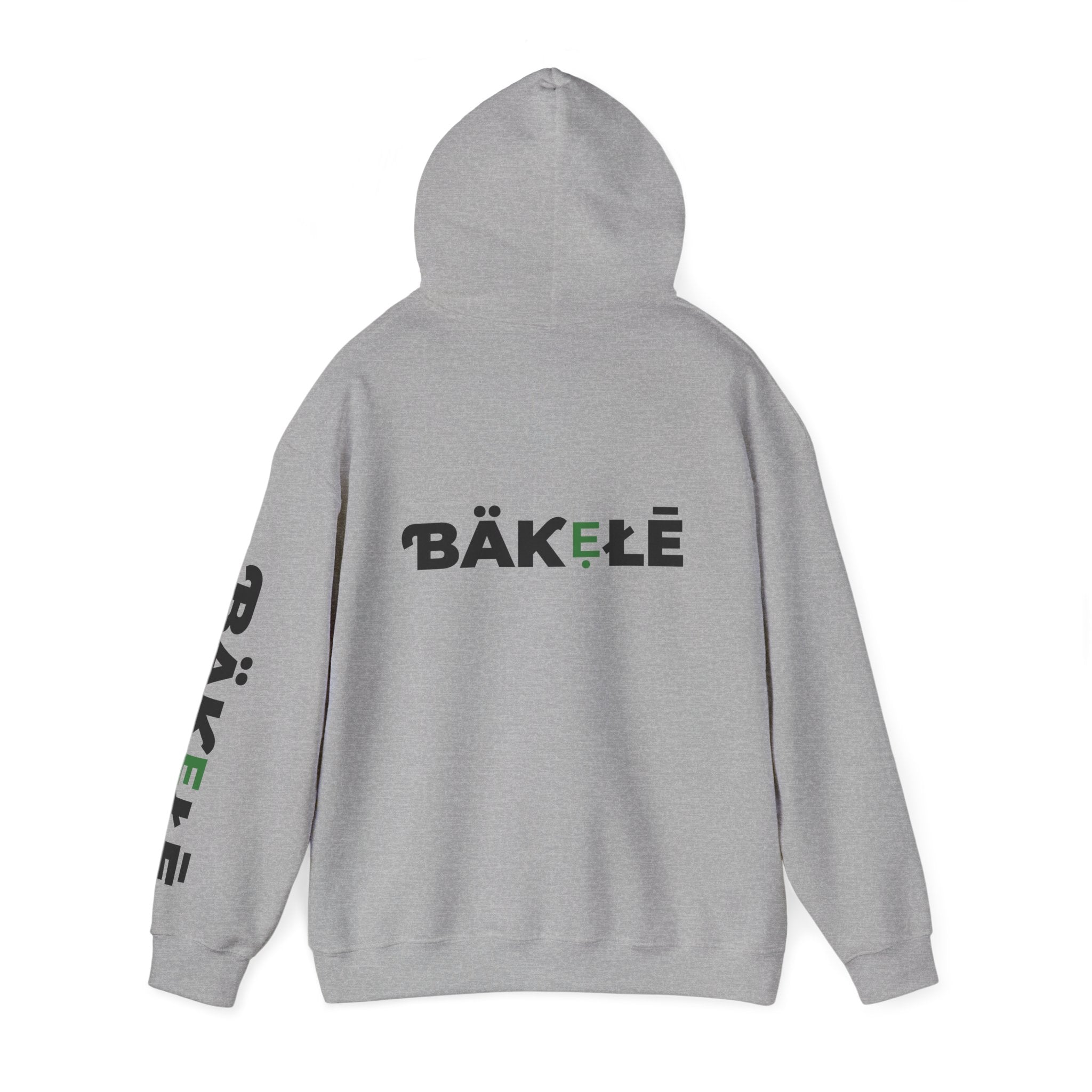 ƁÄƘẸŁĒ Apparel Turtle Hoodie