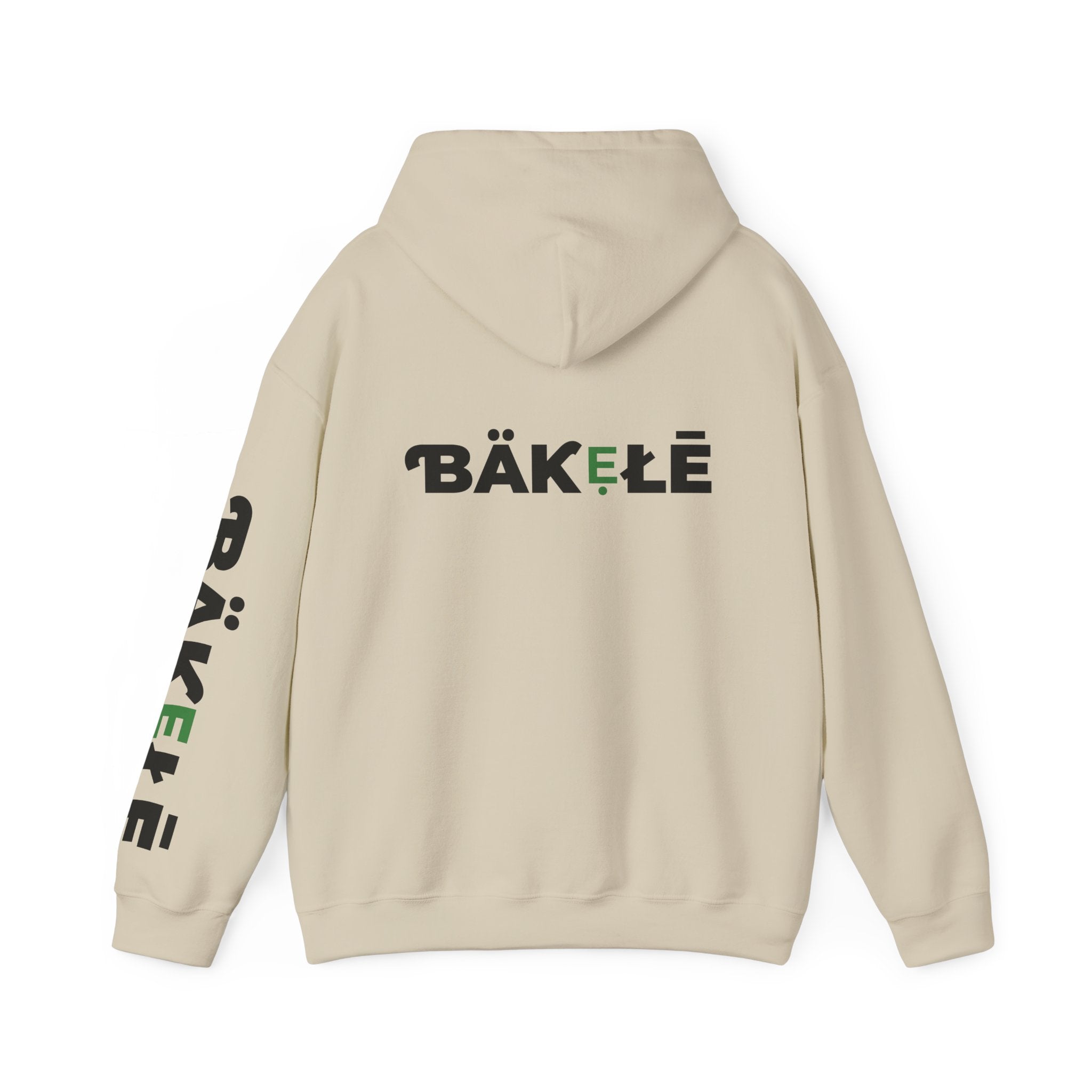 ƁÄƘẸŁĒ Apparel Turtle Hoodie