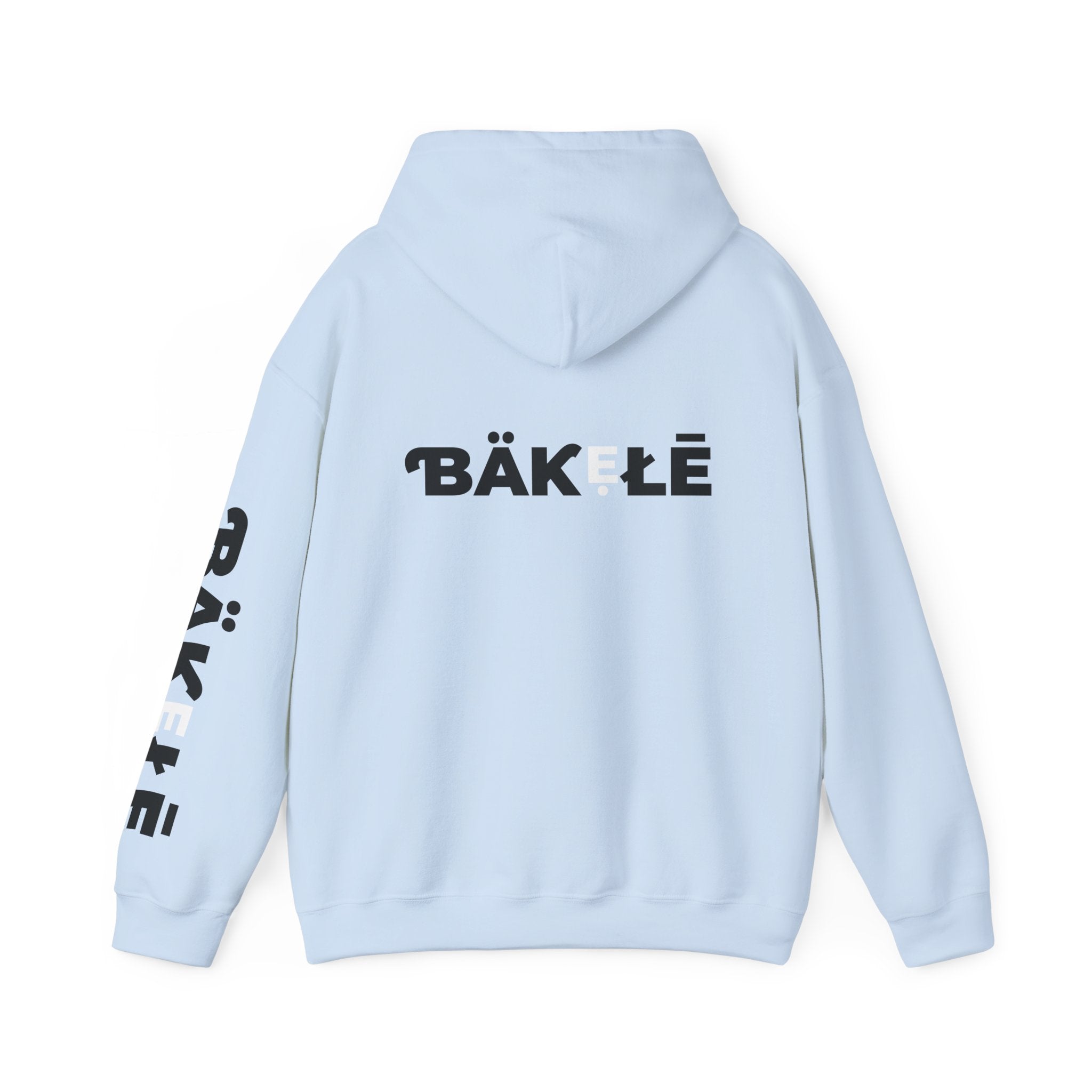 ƁÄƘẸŁĒ Apparel Wild Cat Hoodie | Minimal Typography Pullover