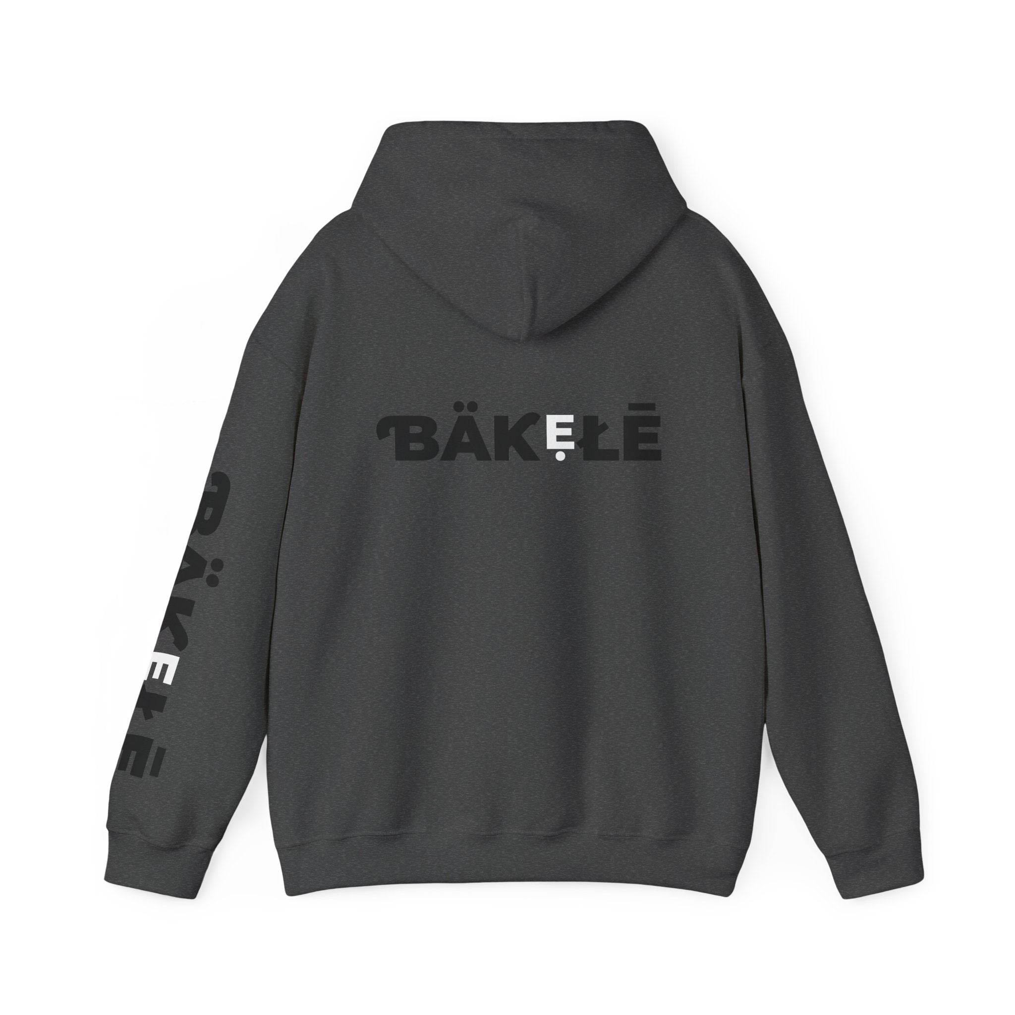 ƁÄƘẸŁĒ Apparel Wild Cat Hoodie | Minimal Typography Pullover
