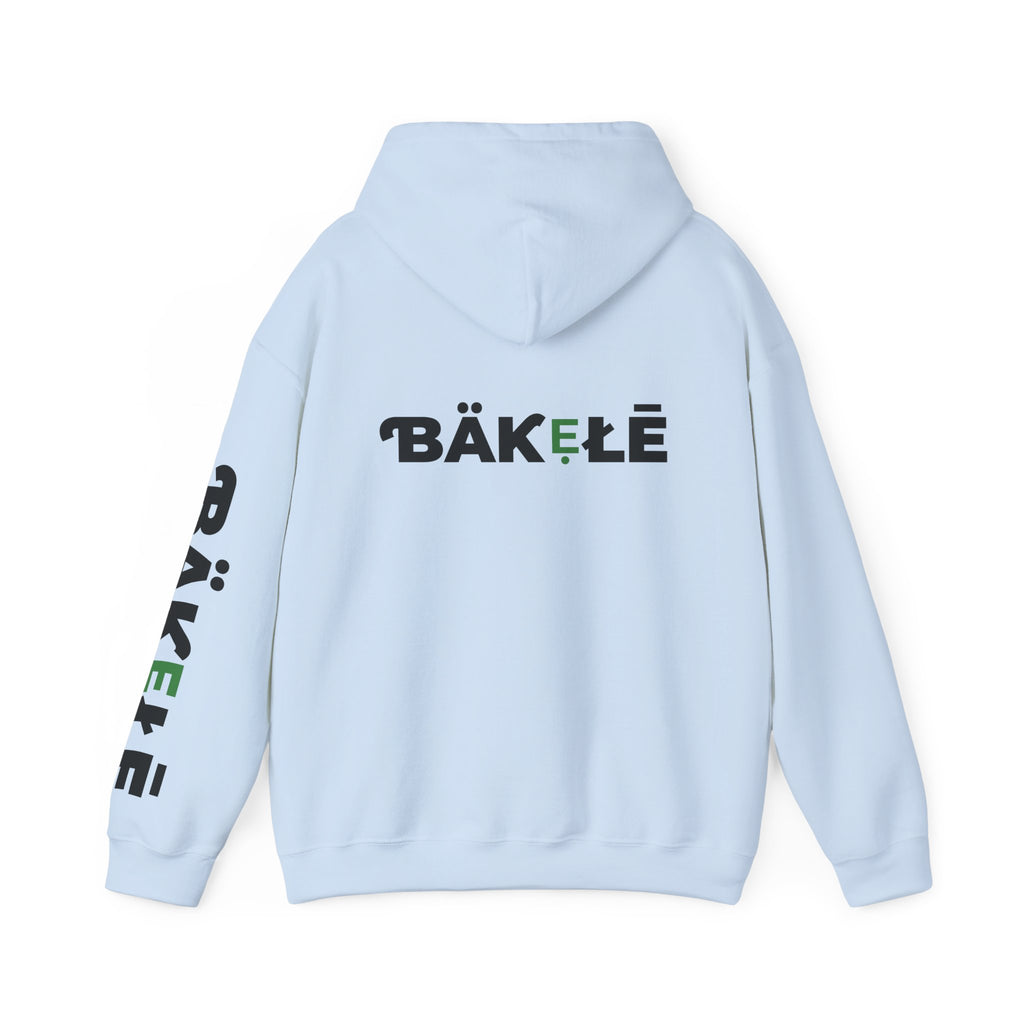 ƁÄƘẸŁĒ Apparel Turtle Hoodie