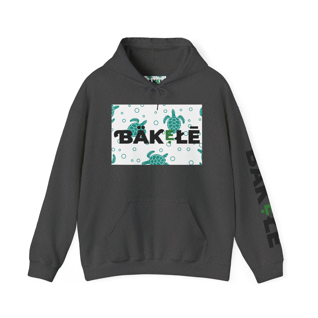 ƁÄƘẸŁĒ Apparel Turtle Hoodie