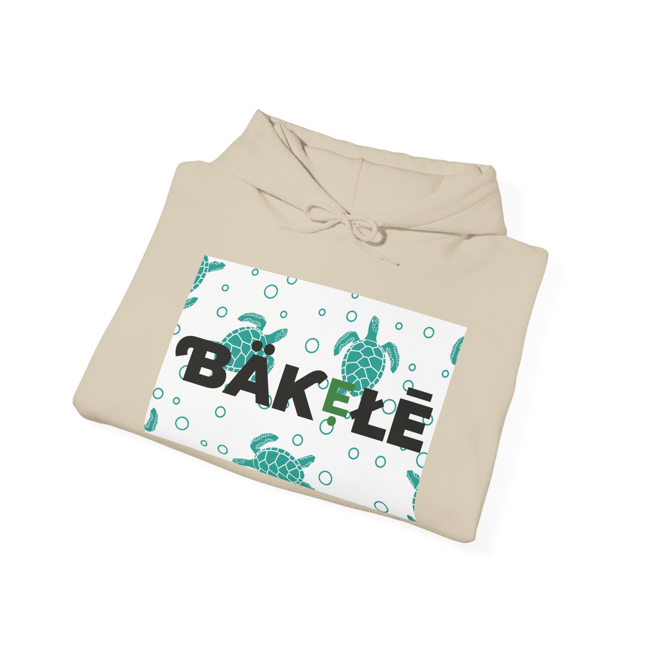 ƁÄƘẸŁĒ Apparel Turtle Hoodie