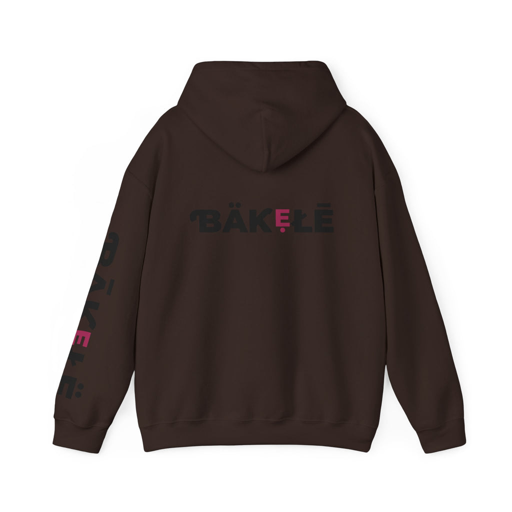 ƁÄƘẸŁĒ Apparel Leopard Hoodie