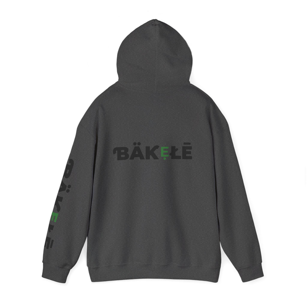 ƁÄƘẸŁĒ Apparel Turtle Hoodie
