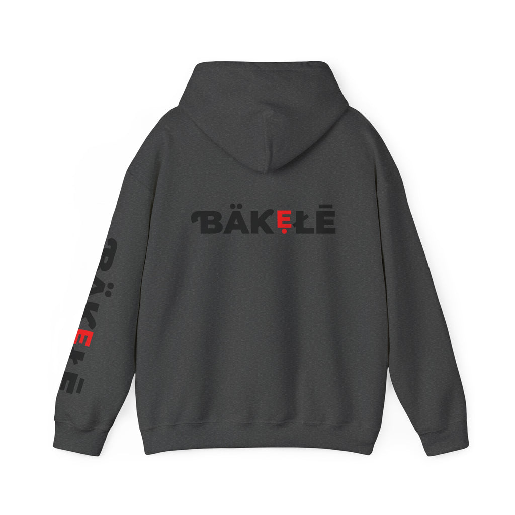 ƁÄƘẸŁĒ Apparel Hearts Hoodie