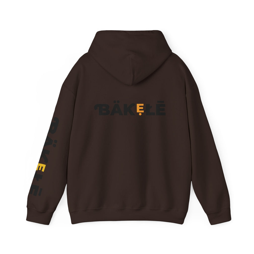 ƁÄƘẸŁĒ Apparel Bright Hoodie