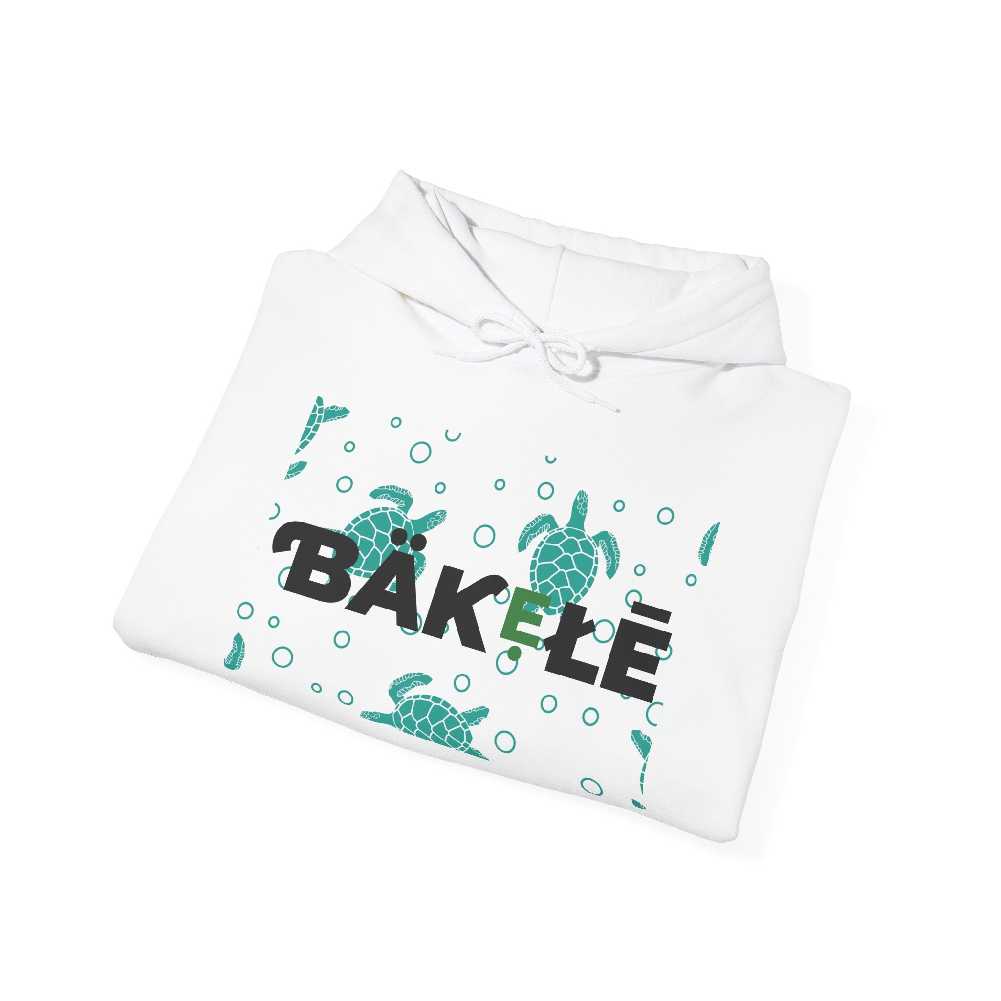 ƁÄƘẸŁĒ Apparel Turtle Hoodie