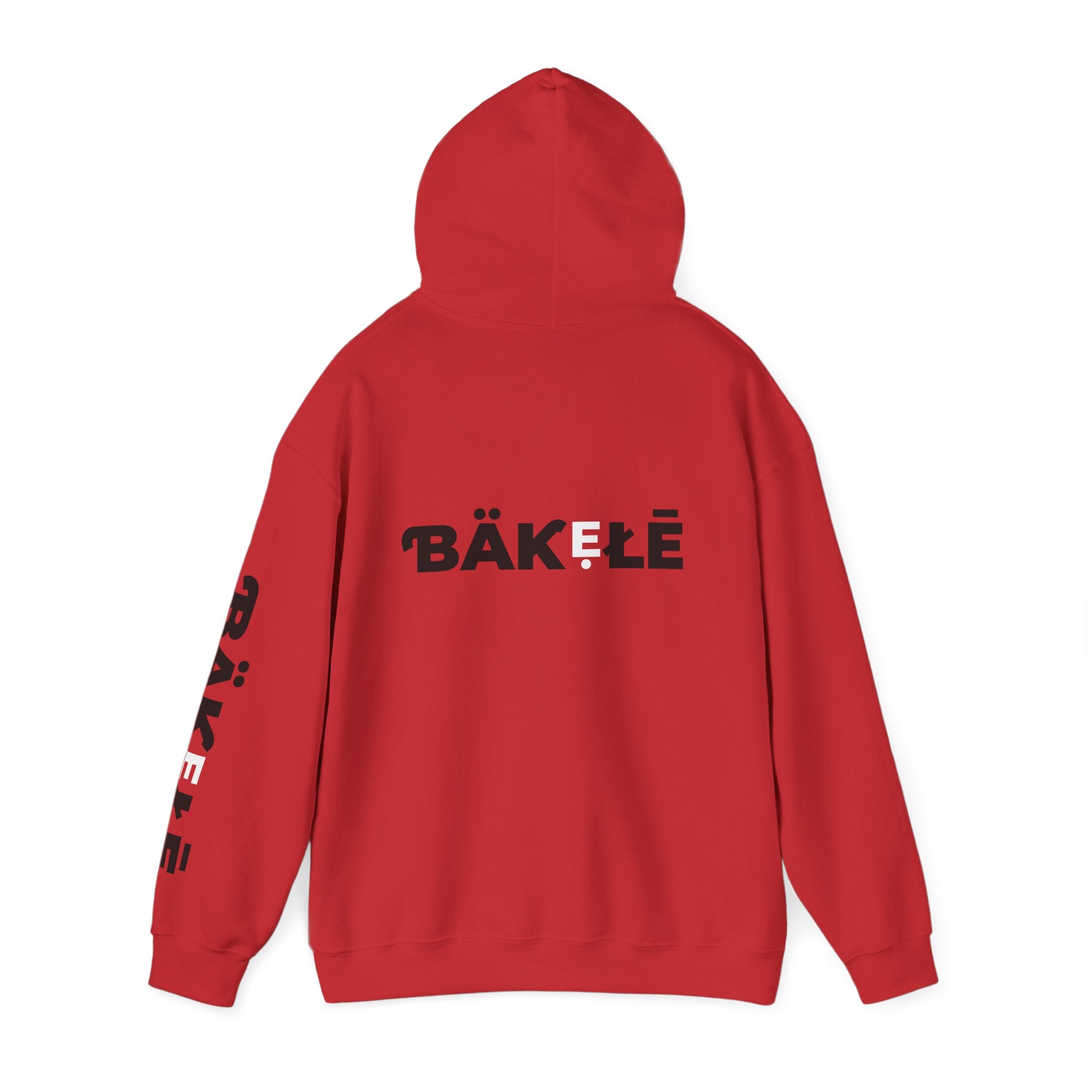 ƁÄƘẸŁĒ Apparel Wild Cat Hoodie | Minimal Typography Pullover