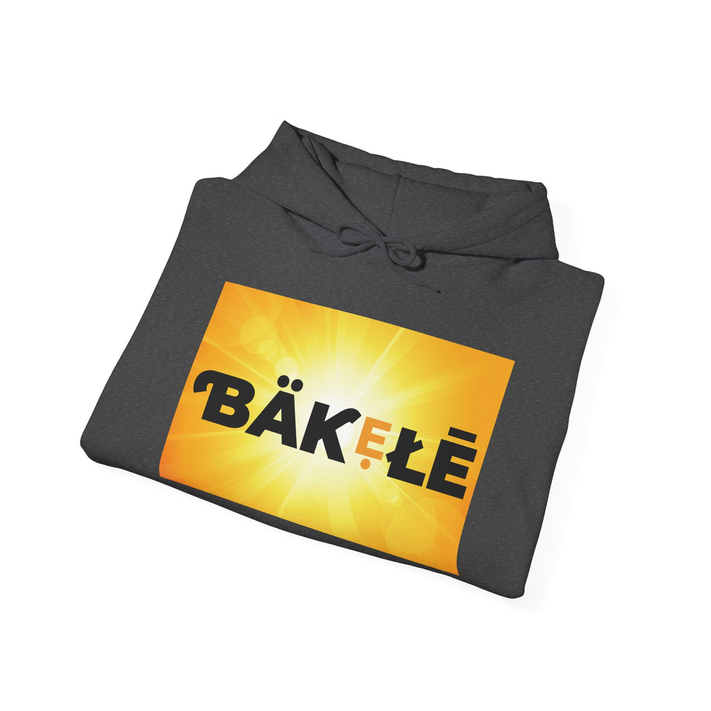 ƁÄƘẸŁĒ Apparel Bright Hoodie