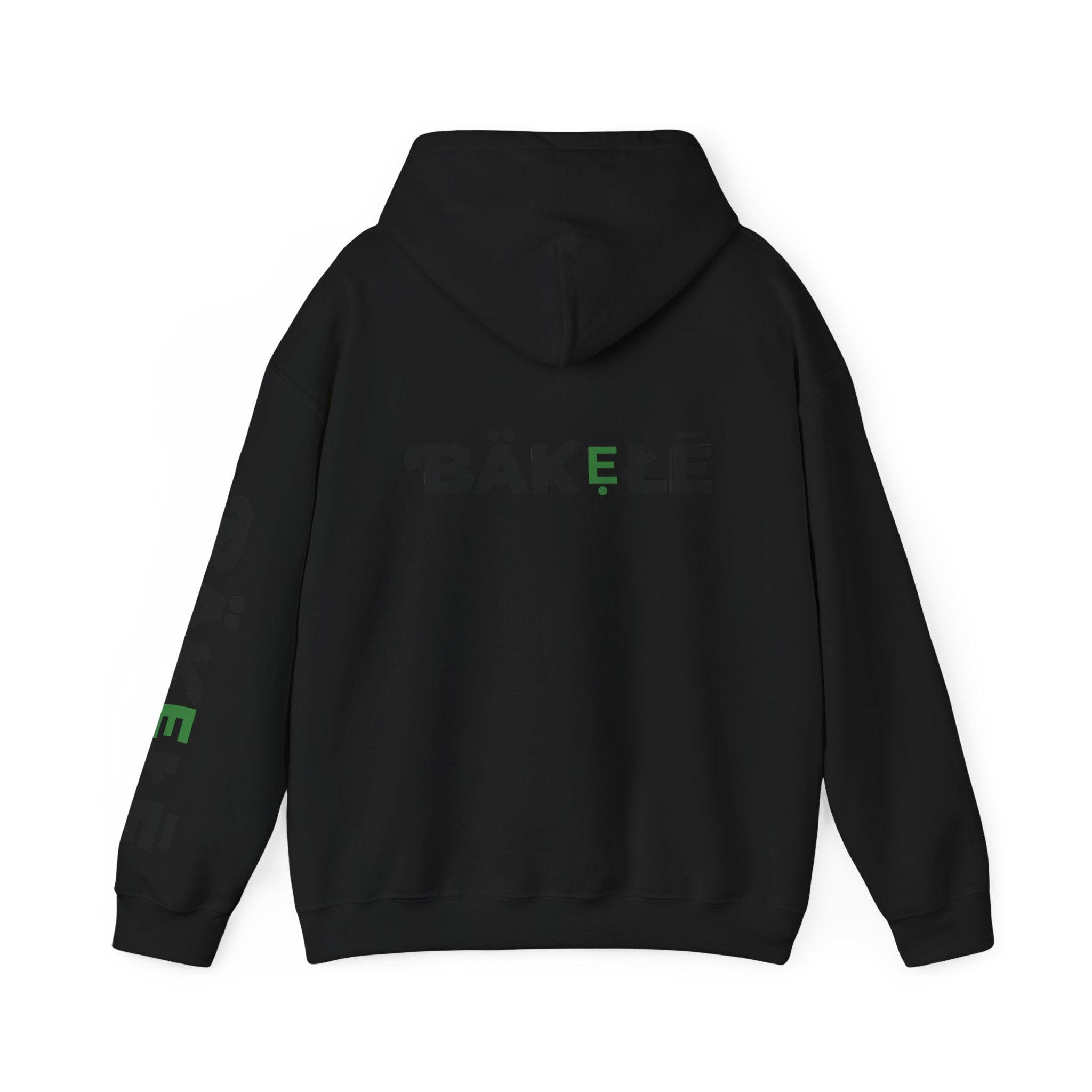 ƁÄƘẸŁĒ Apparel Turtle Hoodie