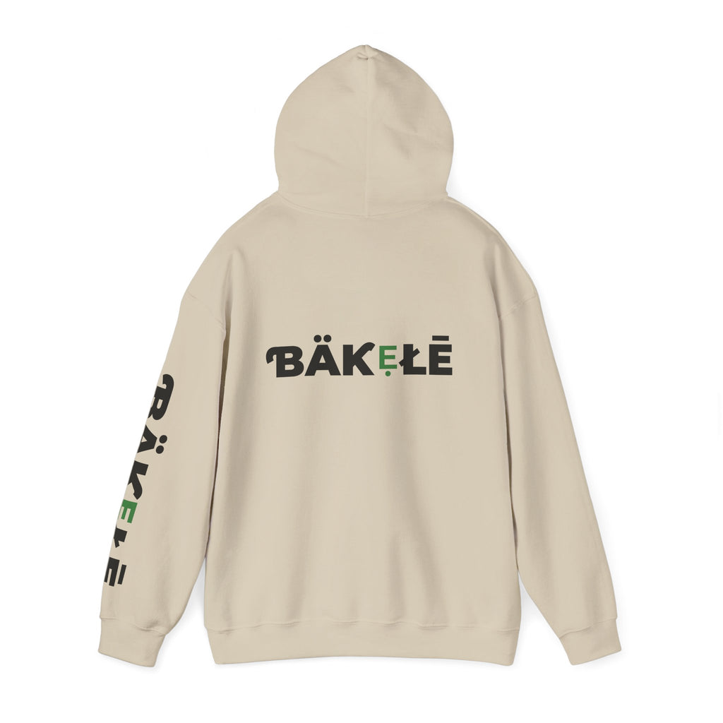 ƁÄƘẸŁĒ Apparel Turtle Hoodie